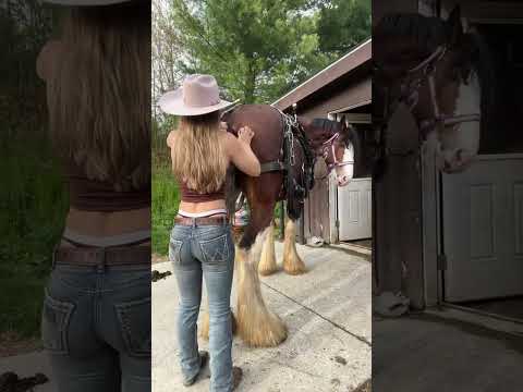 Check your crupper #countrymusic #itsamandalee #lowrise