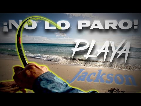 Peces DEMASIADO POTENTES en la PLAYA [Probando NUEVOS Señuelos] | Lured Vlog 341