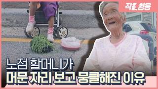 폭염 속에 채소 팔던 100살 할머니가 떠난 뒤 사장님이 뭉클해진 이유 [작은영웅]