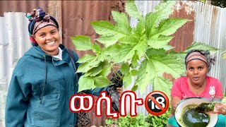 ኪንታሮት  ለሆድ ድርቀት  ወሲቡ ፍላጐት  ሳማ ወይም ዶቢ