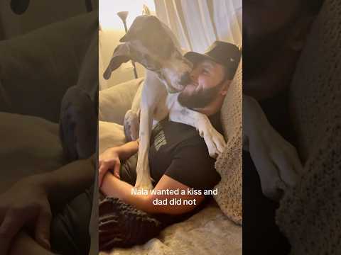 Dogs love #dog #dogs #dogshorts #doglover #dogvideos #fyp #foryou