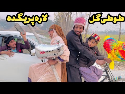 Lara Pregda Tuti Gull || New Funny Video 2024 by Bebe Vines Plus