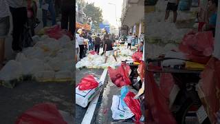 Lại đi ra chổ nuôi cá chơi #bettasales #baoiba #ngocdiemaquarium #viral #sivaca #xuhuong