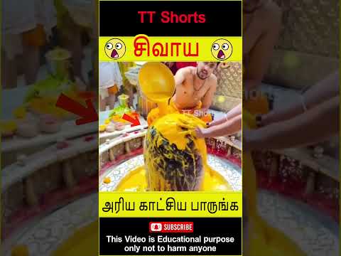 Lord Shiva temple powerful pooja #temple #tamilnews #wow #shorts #stories #youtubeshorts #tamiltips