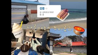 1박 2일 강릉여행 VLOG | 먹고 먹고 또 먹는 여행… | 강릉 중앙시장 | 길감자 | 강릉 소품샵 | 감크탕 🥔👼🏻