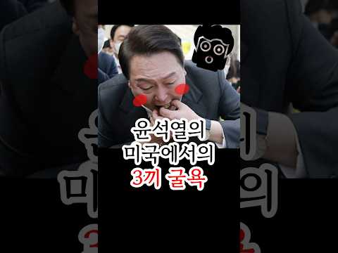 윤석열의 미국에서의 3끼 굴욕!!! #나토회의 #윤석열 #김건희 #나토굴욕 #윤석열탄핵 #방미 #김건희특검 #하와이