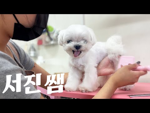 오늘 미용사 손가락 자른다.