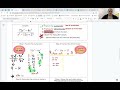 Simplifying Rational Expressions through Factoring