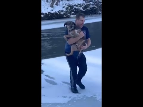 Raw video: Vermont man rescues dog from freezing river in Barre