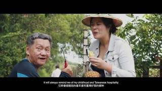 The Art of the Pineapple Cakes