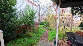 Overgrown Garden Time Lapse: Full Garden Renovation | Restoration