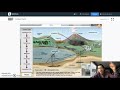 Understanding the Carbon Cycle