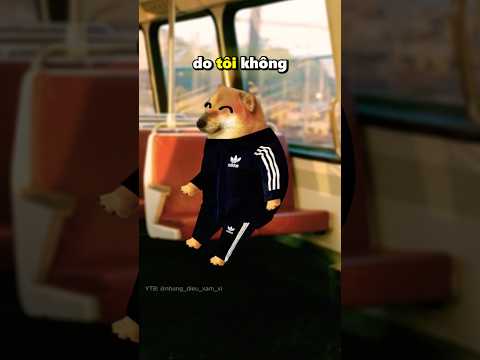 Chưa tài đâu cô em ạ 🐧 #cheems
