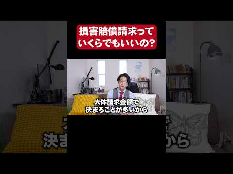 損害賠償請求っていくらでもいいの?