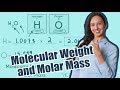 Molecular Weight and Molar Mass Concepts