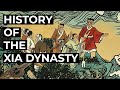 Xia Dynasty Cultural and Historical Insights
