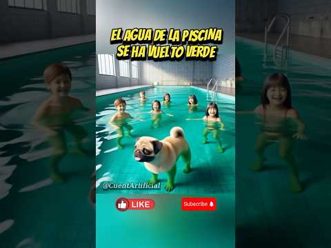 El agua de la piscina se puso verde 🏊🏼‍♂️😸🐶