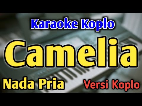 CAMELIA - KARAOKE || NADA PRIA COWOK || Versi Koplo