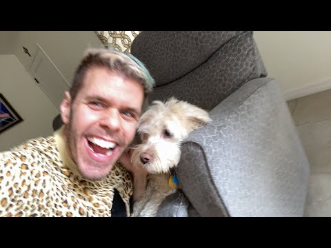 New Lady GaGa and Harry Styles - Reacting Live! Plus, Drama Between Camila Cabello and Normani! And... | Perez Hilton