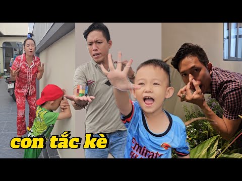 Con tắc kè và những video vui nhộn