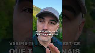 C'est le bon moment