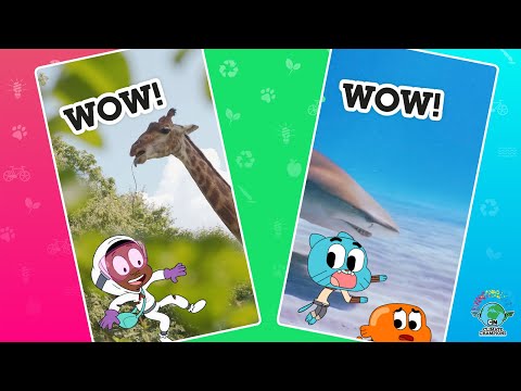 WOW! Awesome Animals | Cartoon Network Climate Champions | @cartoonnetworkuk