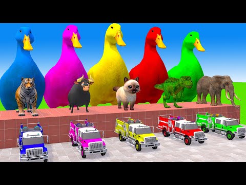 Long Slide Game With Elephant Gorilla Buffalo Hippopotamus Tiger - 3d Animal Game - Funny 3d Animals