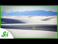 White Sands National Park and Its Unique Ecosystem