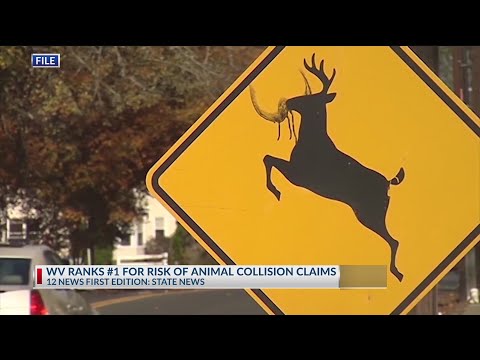 YouTube video thumbnail: West Virginia Once Again Ranked Riskiest State for Animal Collisions
