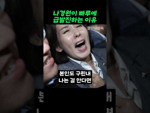 빠루 얘기나오면 급발진하는 나경원!!! 그 이유가 밝혀지다!!!!