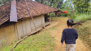 PULANG KAMPUNG KALI INI DI TEMANI ANAK TERCINTA