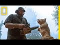 Chainsaw Carving and Artistic Expression