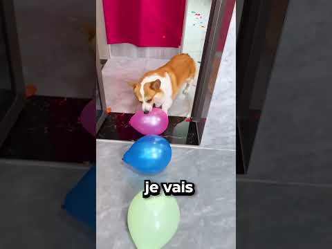 Éclater Les Ballons et Gagne Le Chocolat 🤩