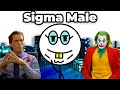 Understanding the Sigma Male Concept
