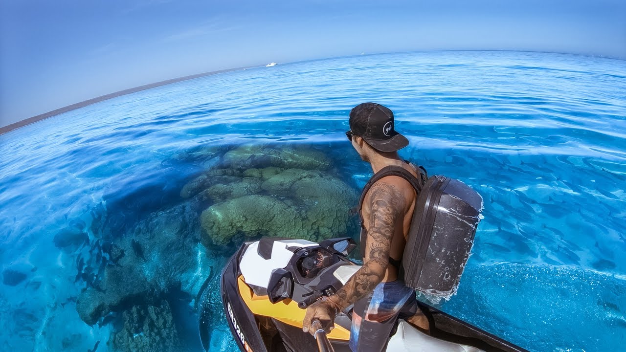 YBS Lifestyle Ep 3 - CLEAREST WATER EVER Big Tiger Shark + Hammerhead Shark Cod Catch And Cook