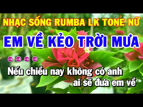 Karaoke Nhạc Sống Liên Khúc Tone Nữ Trữ Tình | Em Về Kẻo Trời Mưa – Ngày Xưa Anh Nói | Thanh Hải