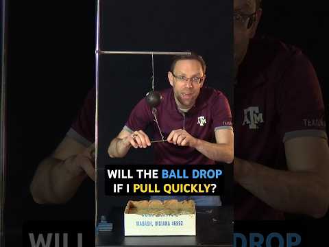 Will the ball drop if I pull quickly? ⬇️🤔  #physics #DrDawson #shorts