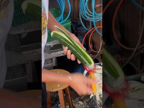 Master of peeling cucumbers with incredible speed!