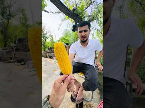 ڤڵۆگی خورماڵ