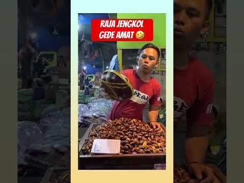 Emang ada raja jengkol 🤣 #funny