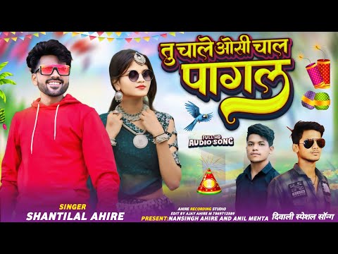 तू चाले ओसी चाल पागल // Adivasi Diwali Song // Singer Shantilal Ahire #adivasisong2024