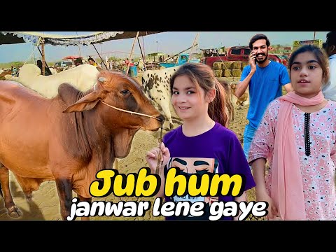 Qurbani ka JANWAR || hamary sath TRAGEDY ho gai #mandi #bakraeid #eid #vlog