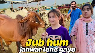 Qurbani ka JANWAR || hamary sath TRAGEDY ho gai #mandi #bakraeid #eid #vlog