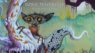 Ozric Tentacles Chords