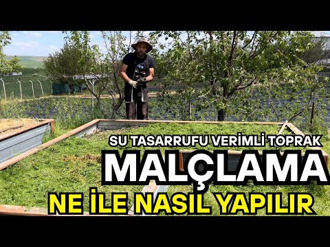 Doğal Mucize: Çimlerle Malçlama Nasıl Yapılır?