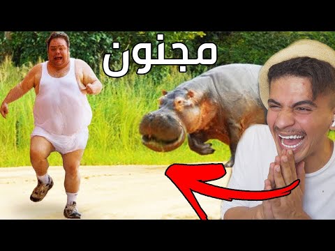 حيوانات تطارد البشر وتهجم عليهم ( مقاطع مضحكة ) 🤣 !!