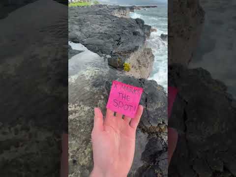 Hawaii scavenger hunt! 🏝️