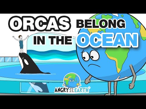 ANGRY EARTH - Episode 17: "Orcas Belong In The Ocean"