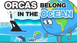 ANGRY EARTH - Episode 17: "Orcas Belong In The Ocean"