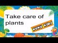Plant Care and Characteristics